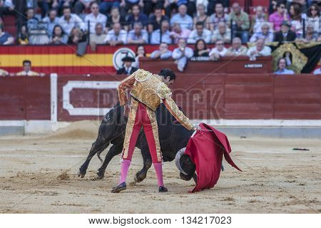 Jaen Spain - October 18 2010: The Spanish Bullfighter Enrique Ponce bullfighting with the crutch in the Bullring of Jaen Spain
