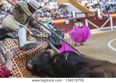 Jaen Spain - October 18 2010: Picador bullfighter lancer whose job it is to weaken bull's neck muscles in the bullring for Jaen Spain