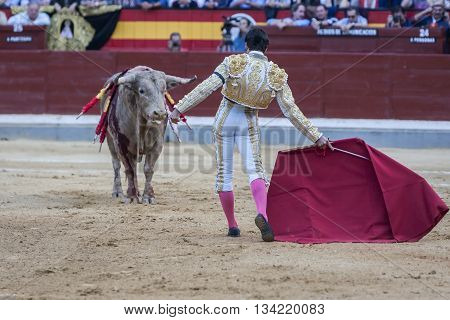 Jaen Spain - October 18 2010: The Spanish Bullfighter Cayetano Rivera bullfighting with the crutch in the Bullring of Jaen Spain