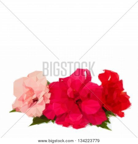 Low poly illustration border of colorful red and pink hibiscus flowers