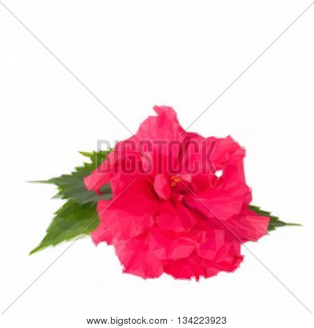 Low poly illustration pink fresh hibiscus flower with green leaves