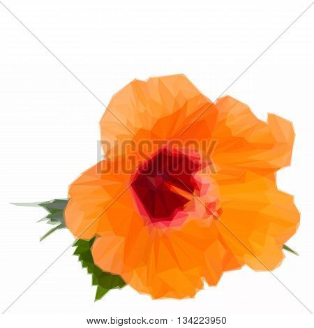 Low poly illustration orange fresh hibiscus flower with green leaves