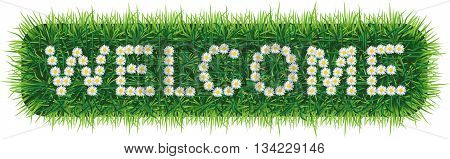 Daisy letters WELCOME on grass. Надпись из ромашек WELCOME  на травяном фоне.