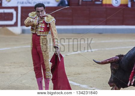 Jaen Spain - October 18 2010: The Spanish Bullfighter Enrique Ponce prepares to kill a bull with his sword inthe Bullring of Jaen Spain