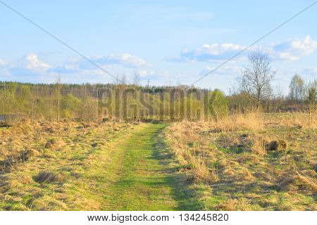 Spring landscape with rural road at spring sunny day.