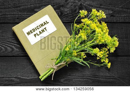 Medicinal plant Bunias orientalis (Turkish rocket hill mustard Turkish warty cabbage warty cabbage). Flowers and herbalist handbook. Used in herbal medicine cooking food for animals