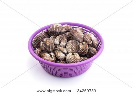 Raw Blood Cockle Isolated On White Background