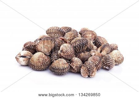 Raw Blood Cockle Isolated On White Background