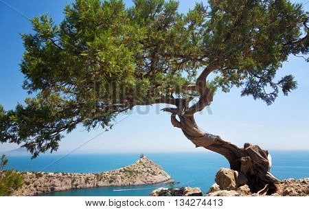 Beautiful summer landscape with the sea and rocks Crimea