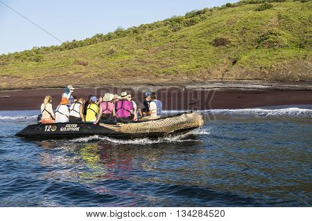 GALAPAGOS ISLANDS - 7 FEBRUARY 2016 - Passengers of Silver Galapagos a luxuurious Silversea expedition cruise ship enjoy an excursion on an inflatable boat watching for wildlife and spot a sea lion lying on the beach.