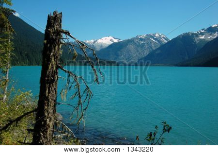 Cheakamus озеро