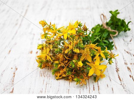 Tutsan Flowers