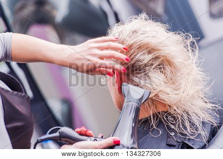 Beauty Studio Hairstylist Business. Hairdresser Drying Clients Hair by Professional Blower Dryer.