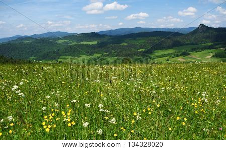Mountains Pieniny in Slovakia and Poland in June