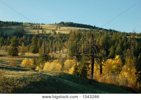 Fall цвета Хилл