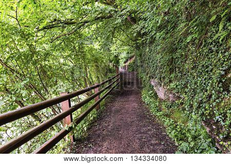 The bicycle path of the Lambro river in Brianza (Lombardy Italy) at spring