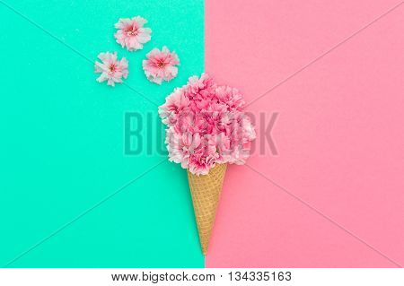 Pink cherry flowers in ice cream waffle cone on colorful background. Minimal concept