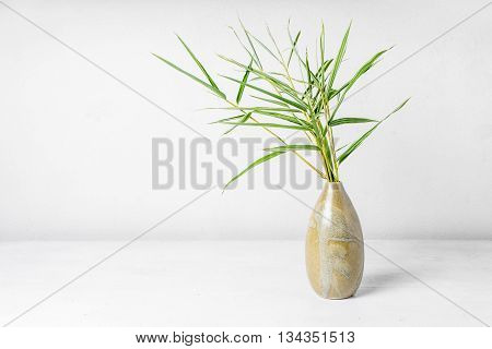 Bamboo leaf in vase on table backround.