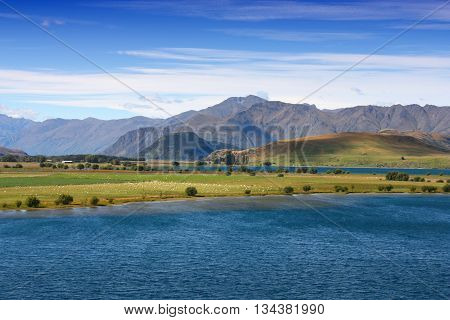 New Zealand