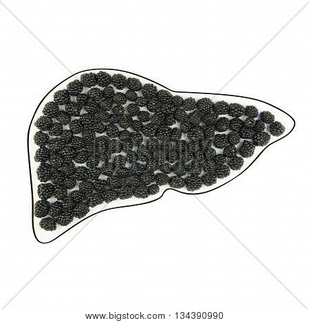 Healthy human liver Laid blackbery healthy eating