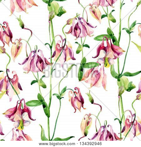 Watercolor meadow bellflowers seamless pattern. Watercolor wild columbine flowers on white background. Hand painted illustration