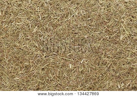 Organic dry lemongrass (Cymbopogon flexuosus) fine cut. Macro close up background texture. Top view.