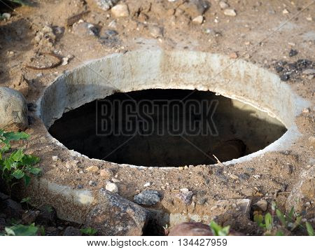 Open the hatOpen the hatch. Around the hatch grass rocks. coffinch. Around the hatch grass rocks. coffin
