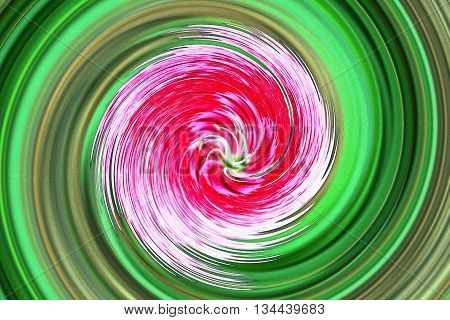 Swirl pink flower and green leaf by water color