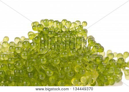 Green Caviar On White Background