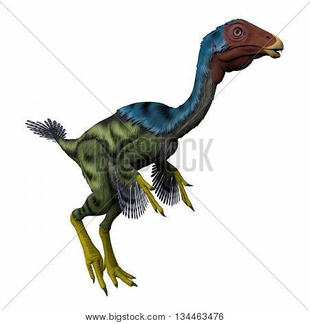 Caudipteryx on White 3D Illustration - Caudipteryx was a peacock-sized oviraptor dinosaur that lived in China during the Cretaceous Period.