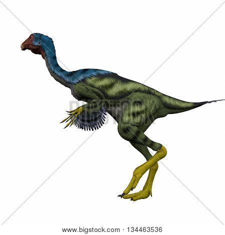 Caudipteryx Side Profile 3D Illustration - Caudipteryx was a peacock-sized oviraptor dinosaur that lived in China during the Cretaceous Period.