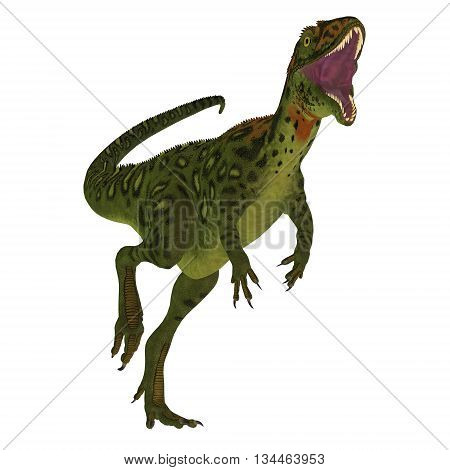 Masiakasaurus Dinosaur on White 3D Illustration - Masiakasaurus was a theropod dinosaur that lived in Madagascar during the Cretaceous period.