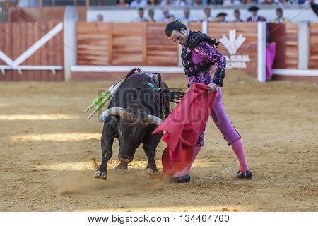 Pozoblanco Spain - September 24 2011: The Spanish Bullfighter Finito de Cordoba bullfighting with the crutch in the Bullring of Pozoblanco Spain