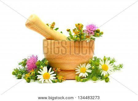 Medicine herbs flowers and mortar - alternative medicine and treatment concept