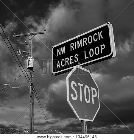 A stop sign on a rural road with an on looking power pole.