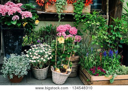 flower shop