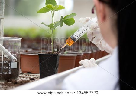 Biologist Testing Growth Of Sprout