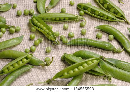 Scattered pods peas and green peas on a canvas cloth
