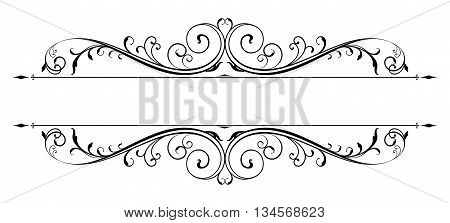 Vectorized Scroll Design with all separated elements.