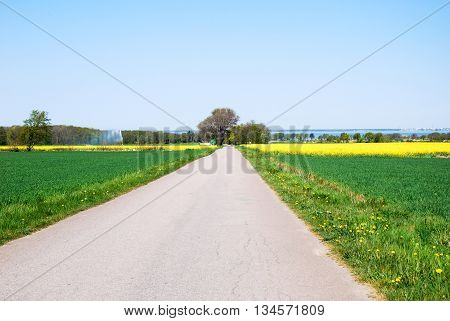 Country road in a bright spring colored rural landscape