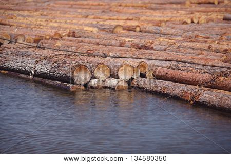 logs are floating on river in Siberia