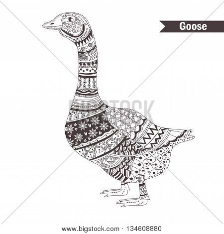 Goose. Hand drawn vector isolated illustration on white background.