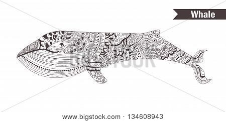 Whale. coloring book for adult, antistress coloring pages. Hand drawn vector isolated illustration on white background. Henna mehendi, tattoo sketch