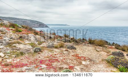 View from Cape Du Couedic across Weir Cove to Remarkable Rocks, in Flinders Chase National Park, Kangaroo Island, South Australia.