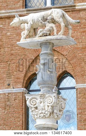 Romulus and Remus are Rome's twin founders in its traditional foundation myth
