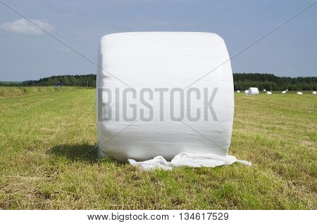 pictured hay bale wrapped in plastic on the summer dayg