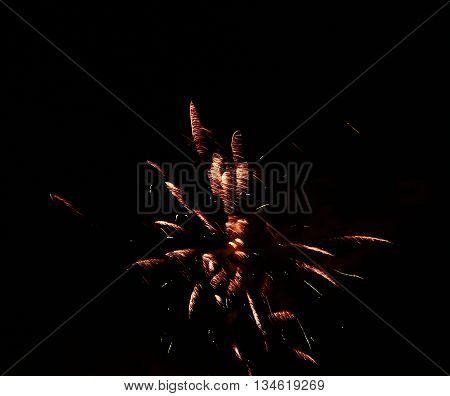 Celebration firework in the black night sky