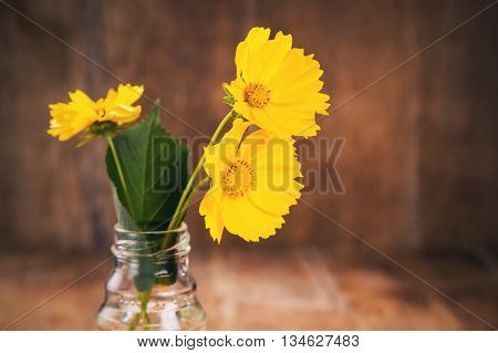 some beautiful yellow flowers in glass vase on wooden background