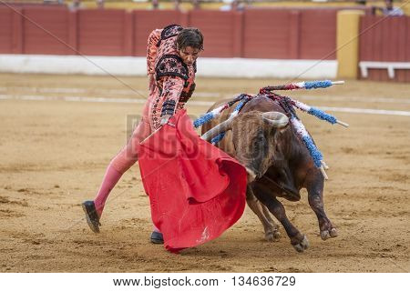 Andujar Spain - September 10 2011: The Spanish Bullfighter Juan Jose Padilla bullfighting with the crutch in the Bullring of Andujar Spain