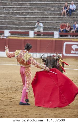 Andujar Spain - September 10 2011: The Spanish Bullfighter David Valiente bullfighting with the crutch in the Bullring of Andujar Spain
